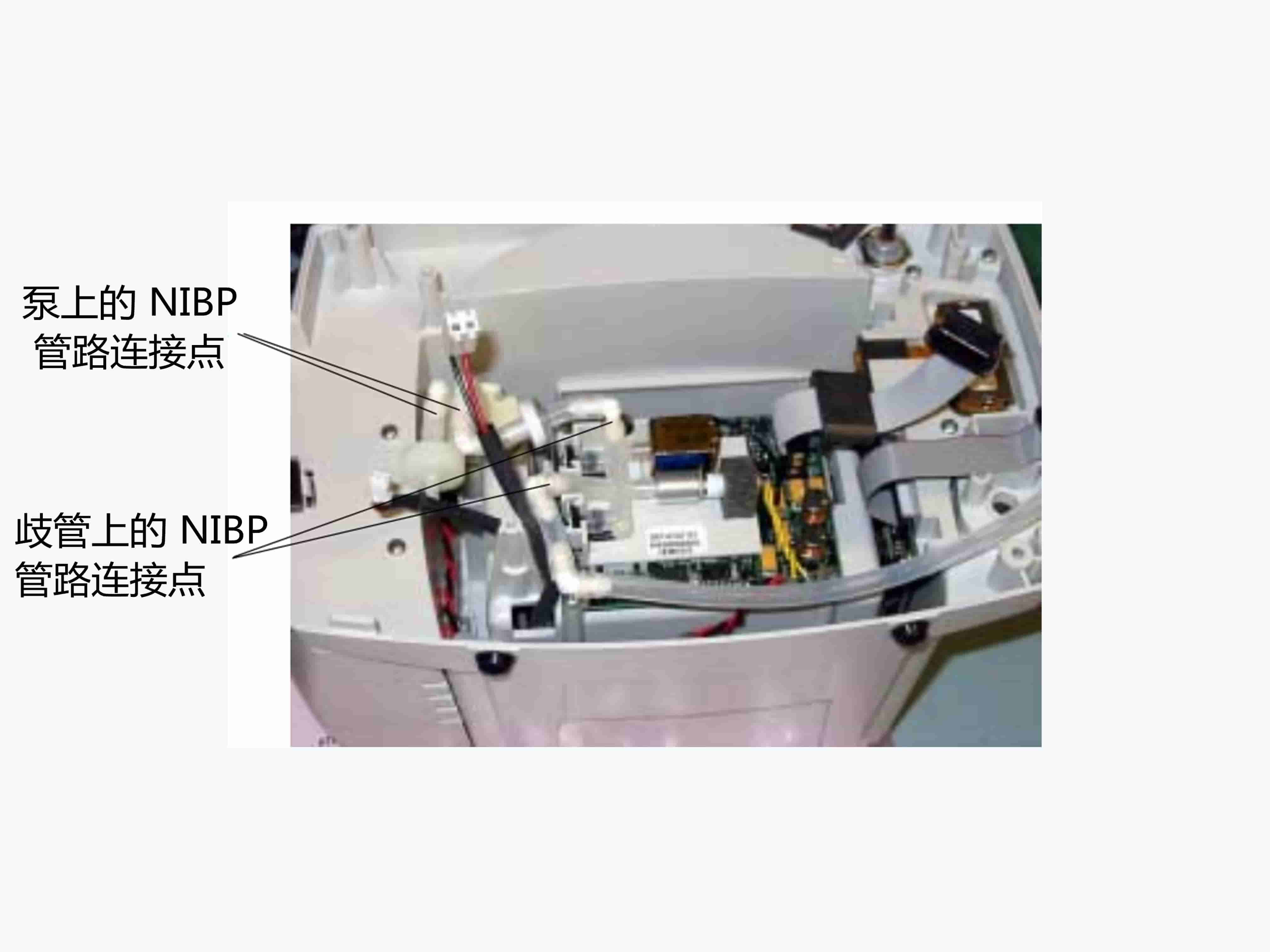 偉倫300系列NIBP模塊